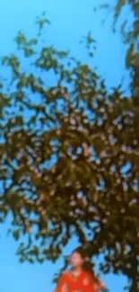 A person stands under a leafy tree with a bright blue sky in the background.