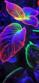 Neon glowing leaves on a dark background.