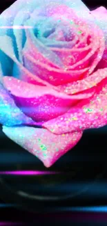 Vibrant neon pink and blue rose with glitter accents on a black background.