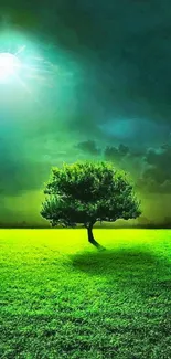 Lone tree under a vivid night sky with green glowing field wallpaper.