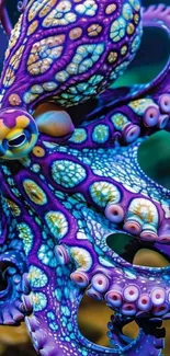 Colorful octopus with vibrant patterns on tentacles.