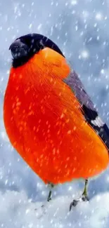 Vibrant orange bird perched in the falling snow, ideal for mobile wallpaper.