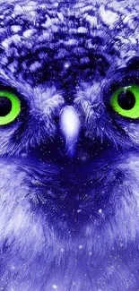 Vivid owl with green eyes on blue background wallpaper.