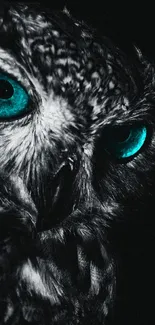 Vivid teal-eyed owl mobile wallpaper design.