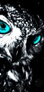 Close-up of owl with vivid turquoise eyes on dark background.