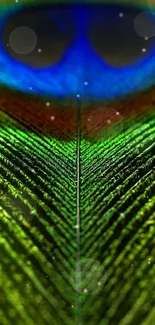 Close-up of a vibrant peacock feather wallpaper.