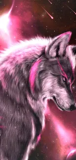 Vivid pink wolf with cosmic background wallpaper.