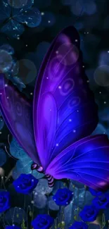 Vivid purple butterfly with blue roses in a night background.