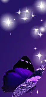 Purple butterfly with stars on a vibrant background.