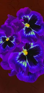 Purple pansies on a rich dark background for mobile wallpaper.