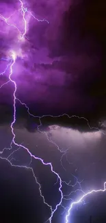 Striking purple lightning bolts in dark stormy sky.