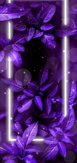 Purple leaves with neon frame wallpaper design.