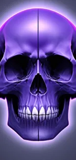 Purple skull digital art wallpaper with a dark background.