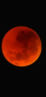 Vivid red lunar eclipse against a dark sky.