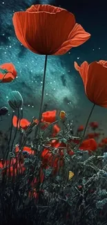 Red poppies under a starry night sky wallpaper.