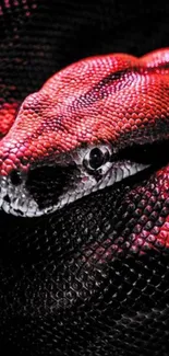 Vivid red snake with textured scales.