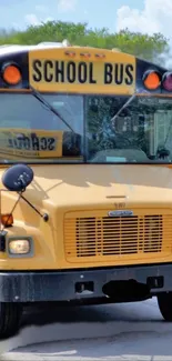 Bright yellow school bus on a sunny day.