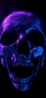 Vivid purple and blue skull artwork