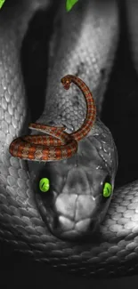 Vivid orange and green snake on monochrome black background.