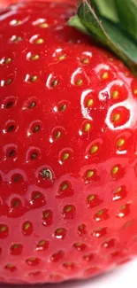 Close-up of a ripe strawberry showcasing its vibrant red color.