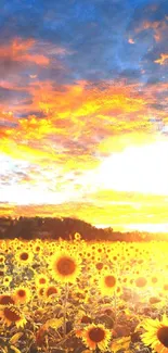 Vivid sunset over a field of sunflowers with a bright orange sky.