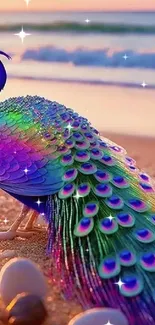 Colorful peacock at sunset on a beach with vibrant feathers