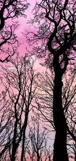 Pink and purple sunset with tree silhouettes in mobile wallpaper.