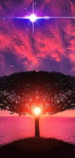 Vivid sunset wallpaper with tree silhouette and cosmic starburst