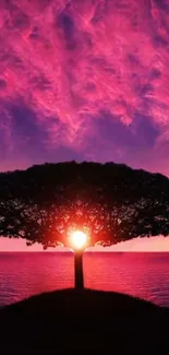 Silhouette tree against vibrant pink sunset sky.