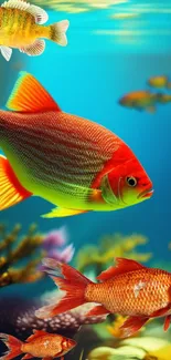 Colorful tropical fish swim in vibrant underwater setting.