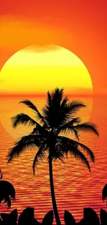 Tropical sunset with palm trees and orange sky over ocean.