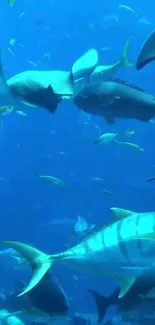 A vibrant underwater scene with various fish in a deep blue ocean setting.