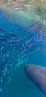 Underwater scene with fish swimming in vivid blue water.