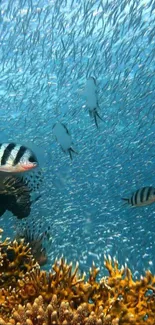 Underwater scene with fish and coral reef landscape in vibrant blue hues.