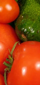 Close-up of tomatoes and zucchini for wallpaper.