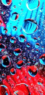 Vibrant blue and red water droplets wallpaper.