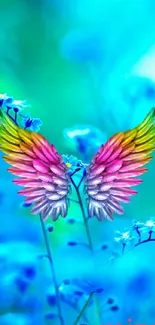 Colorful wings against a blue floral background.