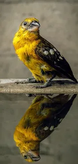 Vibrant yellow bird reflected on water with a peaceful background.