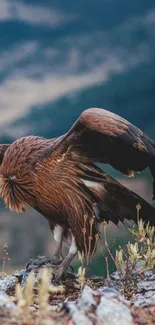 Majestic vulture on mountain cliff with scenic backdrop.