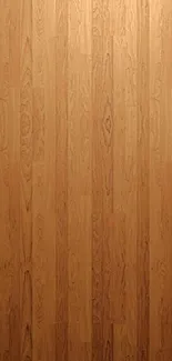 Wall Brown Door Live Wallpaper
