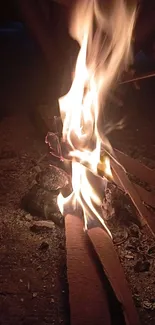 Crackling campfire providing warm glow on a dark night.