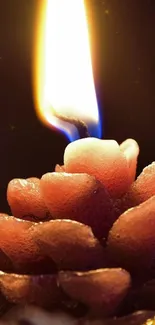 Candle flame on a pine cone, emitting a warm glow for mobile wallpaper.