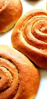 Close-up of golden cinnamon rolls, fresh and inviting.