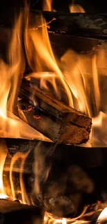 A warm, cozy fire with dancing flames.