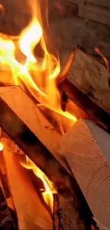 Wallpaper of a warm, glowing fireplace with wooden logs and bright flames.