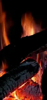 Cozy mobile wallpaper with burning firewood.