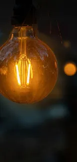 A warm glowing light bulb in a dark setting, perfect for phone wallpaper.