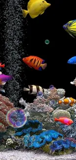 Water Art Underwater Live Wallpaper