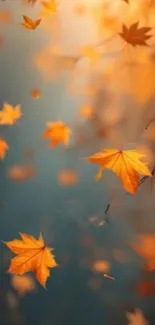 Autumn leaves falling on a soft blurred background.