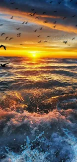 Water Bird Cloud Live Wallpaper